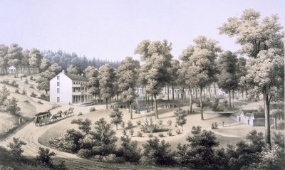 Stribling Springs, Spa Dorp, Augusta County, 1858 door Edward Beyer