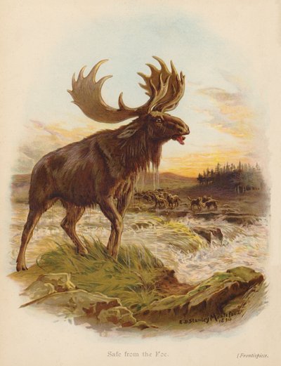 Veilig voor de vijand door Edward Brice Montefiore