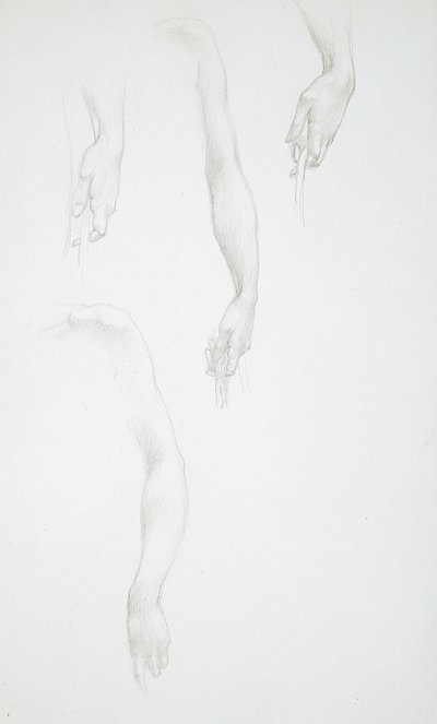 Studies van armen en handen (voorkant); Studie van een vrouwelijk torso (achterkant) door Edward Burne-Jones