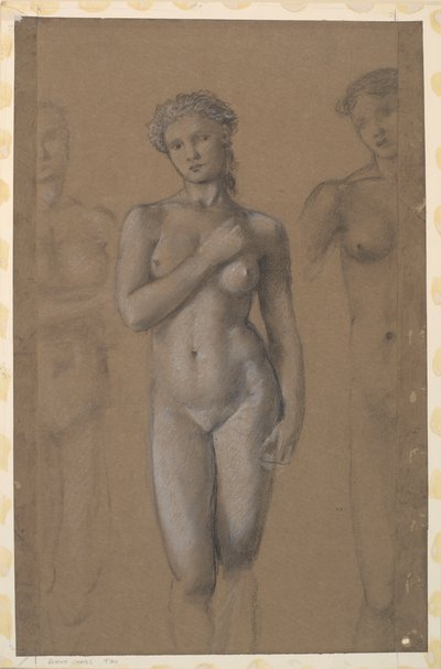 Vrouwelijk Naakt - Drie Studies, mogelijk voor Venus door Edward Burne Jones