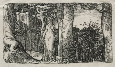 De dame en de roeken door Edward Calvert