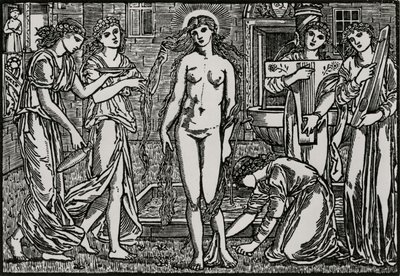 Het hof van Venus door Edward Coley (after) Burne Jones