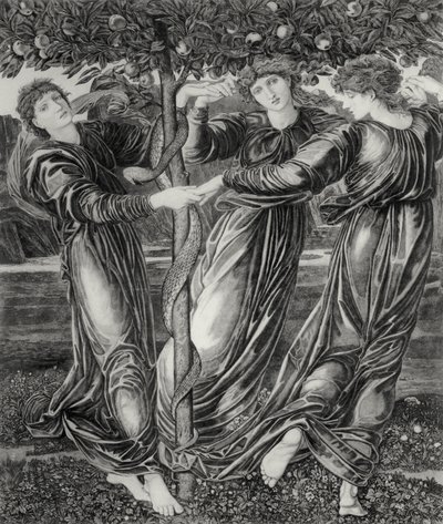 De Tuin van de Hesperiden door Edward Coley (after) Burne Jones