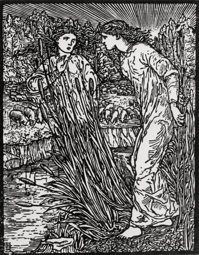 De Taak van het Goudwolschapen door Edward Coley (after) Burne Jones