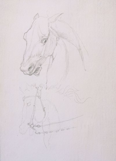 Studie van een paardenhoofd door Edward Coley Burne Jones