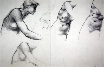 De boom van vergeving - Studie voor de figuur van Phyllis door Edward Coley Burne Jones