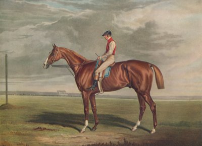 Velocipede, winnaar van de St. Leger door Edward Duncan