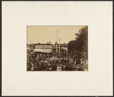 [Olifanten lopen door de stad, Maple City]. door Edward H. Hart
