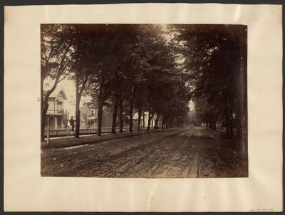 [Met bomen omzoomde straat]. door Edward H. Hart