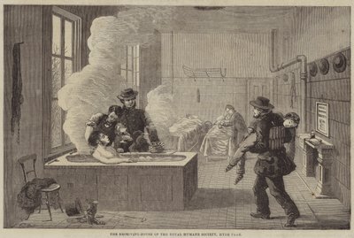 Het Ontvangsthuis van de Koninklijke Humane Society, Hyde Park door Edward Hull