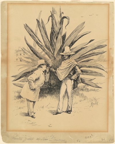 Cactus uit Mexico door Edward Kemble