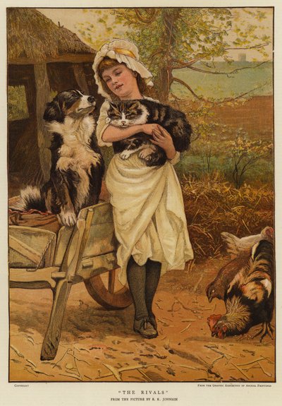 De rivalen door Edward Killingworth Johnson