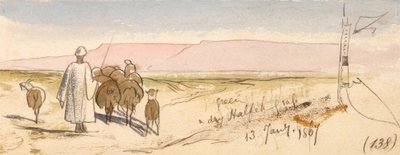 Een droge halfharde grasmat door Edward Lear