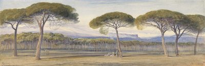 Een Uitzicht op de Pijnboombossen Boven Cannes door Edward Lear