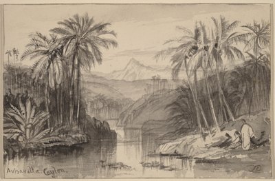  door Edward Lear