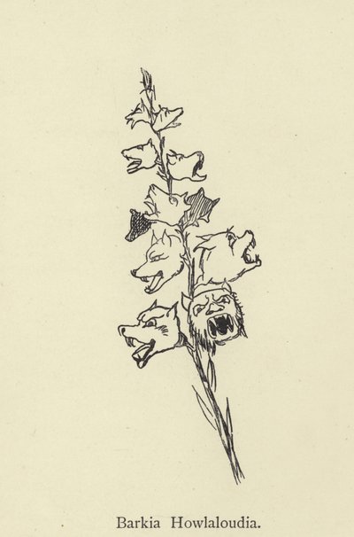 Barkia Howlaloudia door Edward Lear