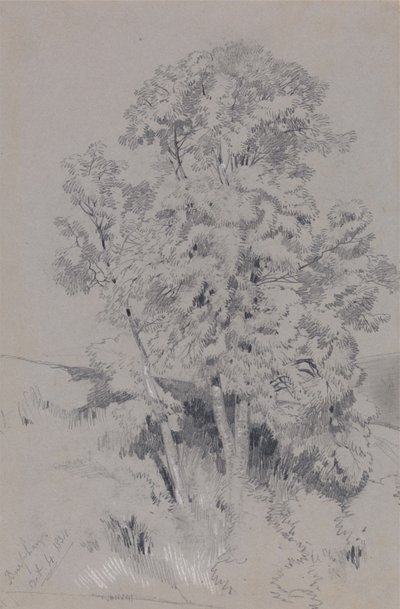  door Edward Lear