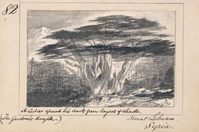 Illustratie bij Tennysons „The Gardener’s Daughter“: de Libanonberg, Syrië – „Een ceder spreidde zijn donkergroene schaduwlagen uit“ door Edward Lear