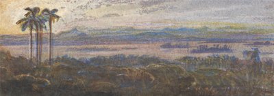 Landschap Indian River door Edward Lear