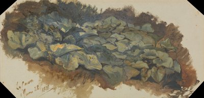 De Steengroeve door Edward Lear