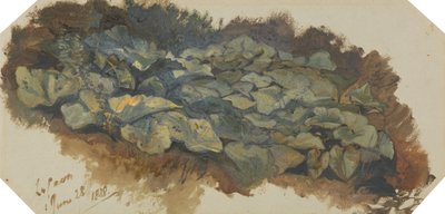 La Cava door Edward Lear