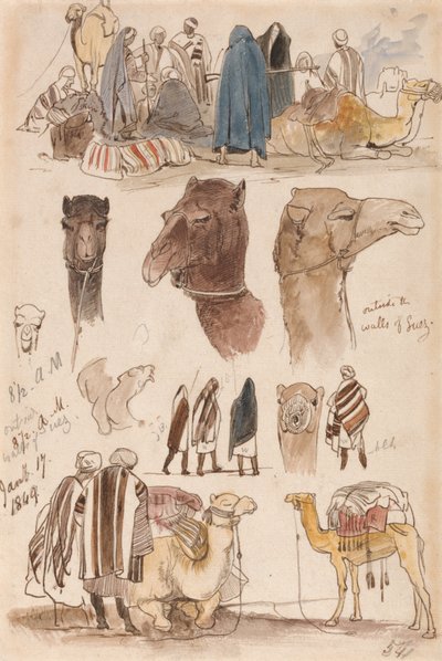 Buiten de muren van Suez, 8:30 uur, 17 januari 1849 (54) door Edward Lear