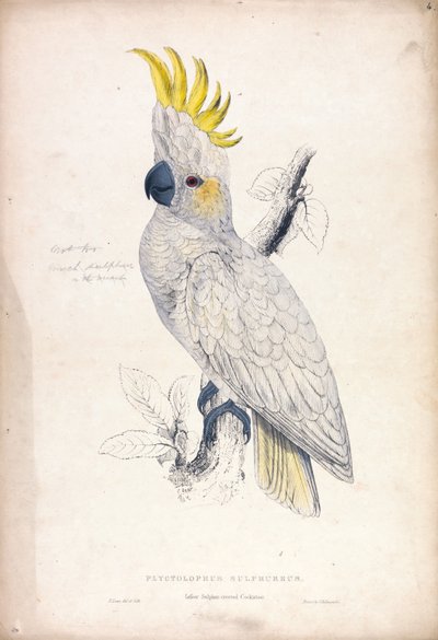  door Edward Lear