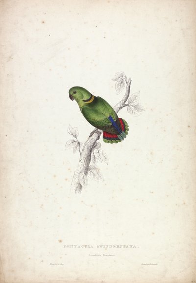  door Edward Lear