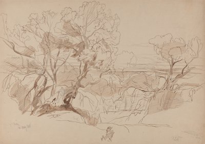  door Edward Lear