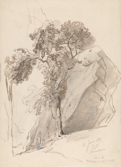  door Edward Lear