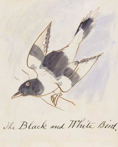 De Zwart-Witte Vogel, uit Zestien Tekeningen van Komische Vogels door Edward Lear