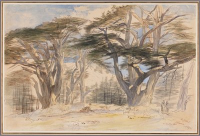 De ceders van Libanon door Edward Lear