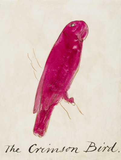 De Karmozijnrode Vogel, uit Zestien Tekeningen van Komische Vogels door Edward Lear