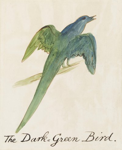 De Donkergroene Vogel, uit Zestien Tekeningen van Komische Vogels door Edward Lear