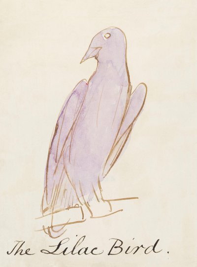 De Lila Vogel, uit Zestien Tekeningen van Komische Vogels door Edward Lear
