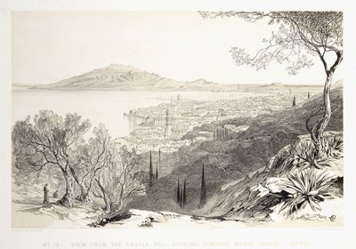 Uitzicht vanaf de Kasteelheuvel, Kijkend naar Monte Skopo, Zante, 1863 door Edward Lear