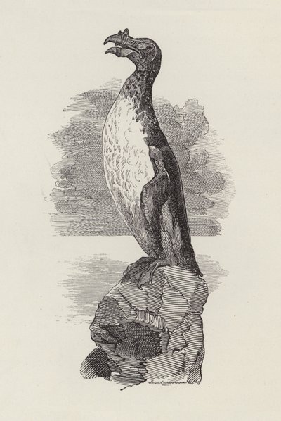 Illustratie voor De Waterkinderen door Charles Kingsley (gravure) door Edward Linley (after) Sambourne