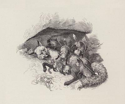 Illustratie voor De Waterkinderen door Charles Kingsley (gravure) door Edward Linley (after) Sambourne