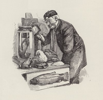 Illustratie voor The Water-Babies door Charles Kingsley door Edward Linley (after) Sambourne