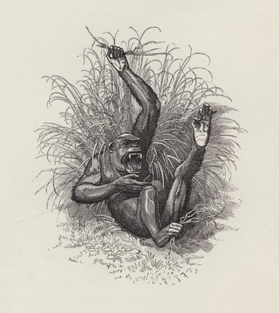 Illustratie voor The Water-Babies door Charles Kingsley door Edward Linley (after) Sambourne