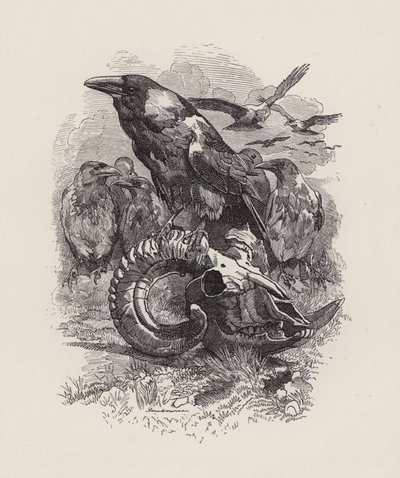 Illustratie voor The Water-Babies door Charles Kingsley door Edward Linley (after) Sambourne