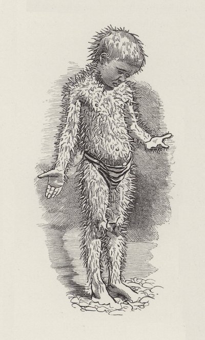 Illustratie voor The Water-Babies door Charles Kingsley door Edward Linley (after) Sambourne