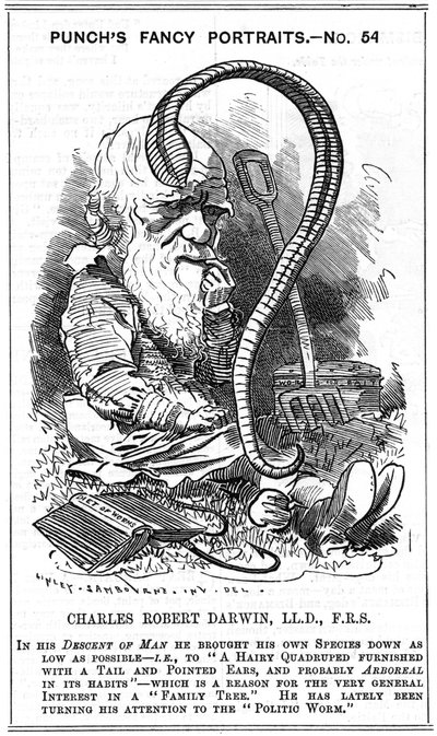Charles Darwin (1809-1882) Engelse natuuronderzoeker. Evolutie door natuurlijke selectie. Cartoon door Edward Linley Sambourne (1844-1910) in de Fancy Portrait-serie in Punch, Londen 1881, het jaar waarin Darwin The Formation of Vegetable Mould publiceerde door Edward Linley Sambourne