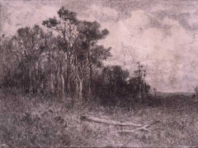 Landschap, Boslandschap door Edward Mitchell Bannister
