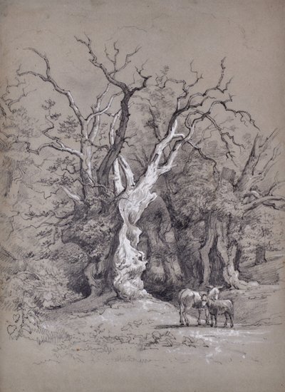 Landschap met boom door Edward Pretty