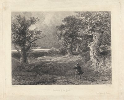 Buitenkant van het bos door Edward Radclyffe