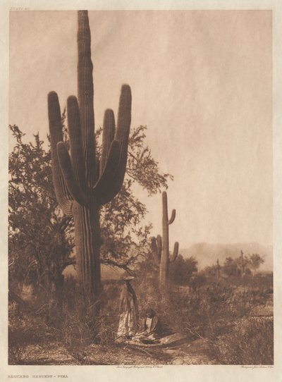 Portfolio II, platen 40-75 door Edward S. Curtis