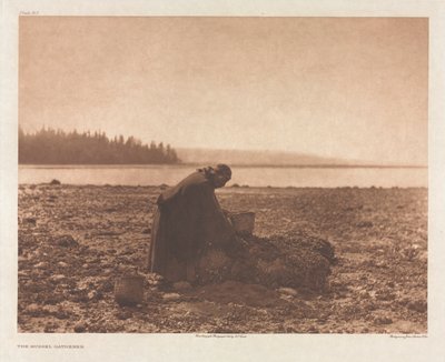 Portfolio IX, Plaat 313: De Mossel Verzamelaars door Edward S. Curtis
