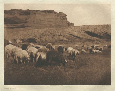 Portfolio I, Plaat 33: Navaho Kuddes door Edward S. Curtis