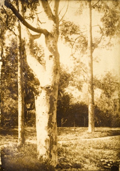 Op de boerderij, Seattle, Washington door Edward Sheriff Curtis